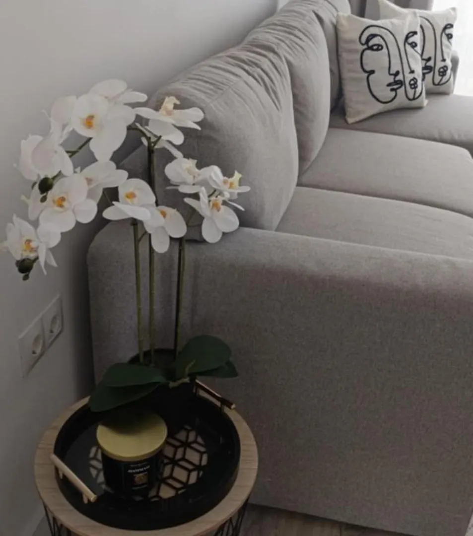 Apartamentos Playa Romanilla ロケタス・デ・マル スペイン